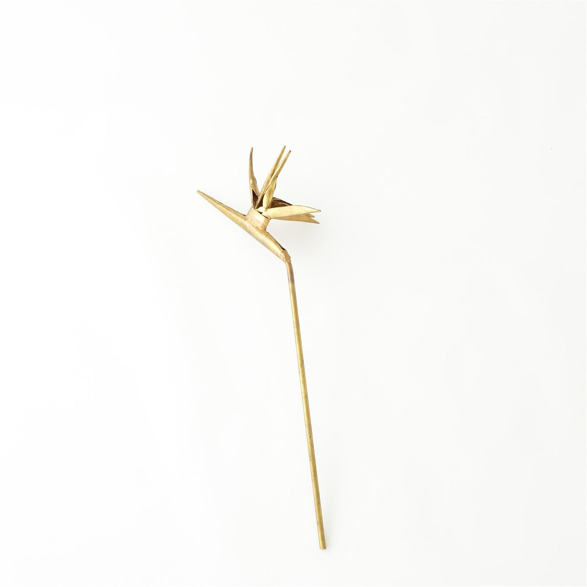 Brass Bird of Paradise-Global Views-Sculptures &amp; Objects-Artistic Elements
