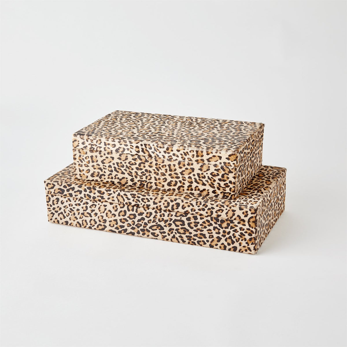 Cheetah Hair-on-Hide-Global Views-Boxes-Artistic Elements