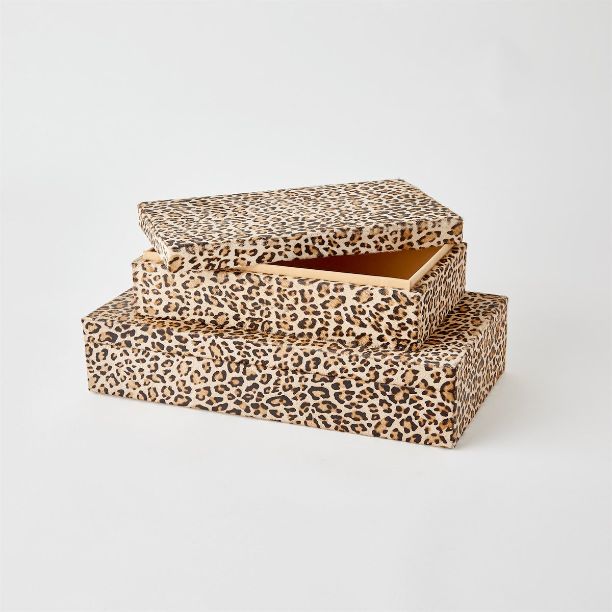 Cheetah Hair-on-Hide-Global Views-Boxes-Artistic Elements